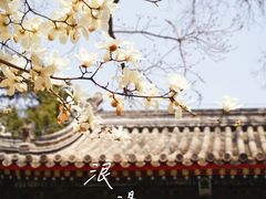 -北京艺术博物馆(万寿寺)