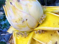 -南通洲际绿博园