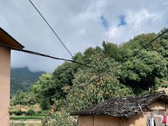 -杨家堂村