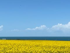 -青海湖国家重点风景名胜区