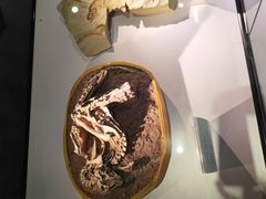-房山世界地质公园博物馆