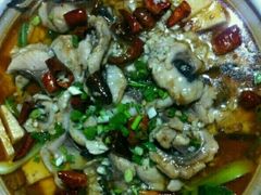 -煲来饱去冷水鱼