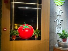 -番食园鲜食火锅(高新店)