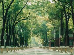 -四川大学(望江校区)