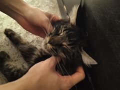 -自由生长植物工作室(深港花卉中心店)