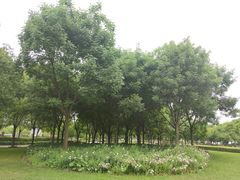 -上海山野camping·户外天幕烧烤·团建拓展营地