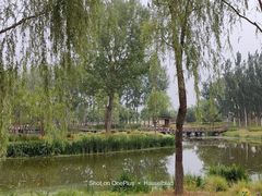 -东郊湿地公园