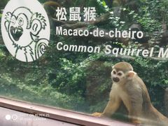 -石排湾郊野公园