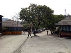 -满記土窑烧鷄波浪山莊