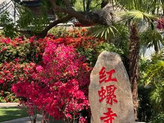 -红螺寺