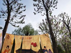 -太阳宫公园