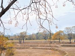 -盘龙城国家考古遗址公园