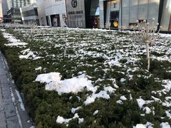 -LV路易威登(时代广场店)