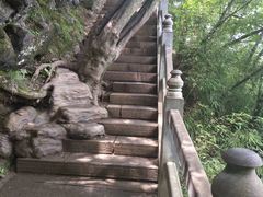 -塔云山