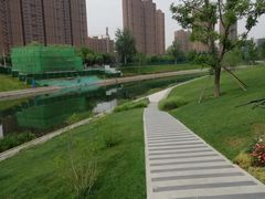 -坝河休闲公园