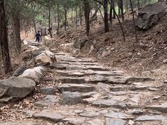 -阳台山自然风景区