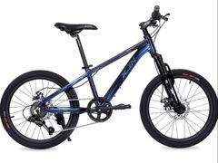 -道路口单车爱瓦士dahon大行