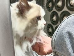 -FAELING PETS美天灵宠物(富力广场店)