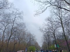 -江苏三台山国家森林公园