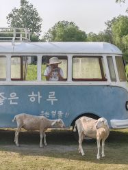 -七色田儿童摄影(静安店)