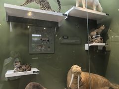 -国家自然博物馆