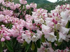 -井冈山风景名胜区