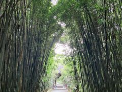 -采石矶景区