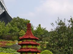 -长白岛森林公园