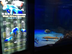 -烟台海昌鲸鲨海洋公园