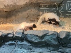 -Zoolung Zoolung动物主题公园(海信广场店)