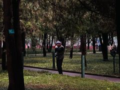 -雍和炸鸡烧饼