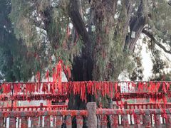 -四门塔风景区