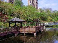 -重庆彩云湖湿地公园