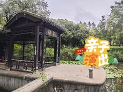 -浮庄
