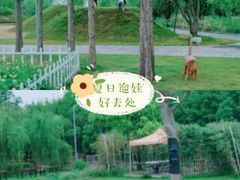 -前小桔亲子创意农场·草莓采摘·露营烧烤