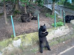 -乐和乐都主题乐园
