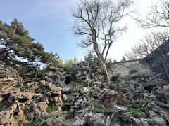 -西园戒幢律寺