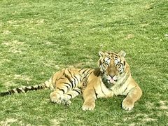 -北京野生动物园