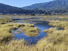-腾冲北海湿地