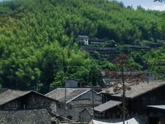 -MOJ coffee(瓯海泽雅水碓坑店)