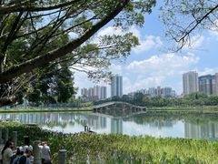 -南宁南湖公园
