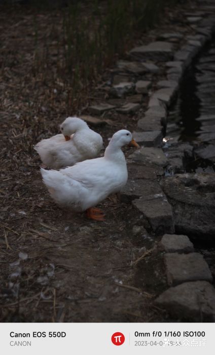 三里河公园图片