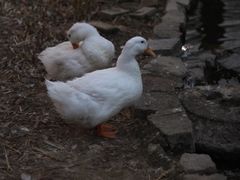 -三里河公园