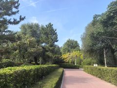 -红山国家森林公园