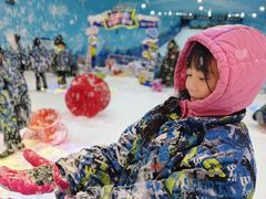 -世界之窗阿尔卑斯冰雪世界