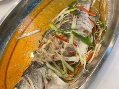 -光海鲜鱼翅餐厅(叻差拉披色路店)
