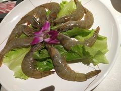 -川西坝子(老军营店)