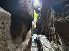 -鲁山国家森林公园