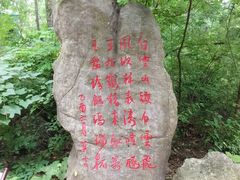 -洛阳白云山景区