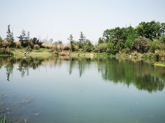 -桤木河湿地公园